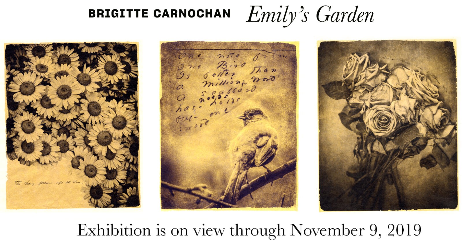 Art exhibition featuring floral and bird images.