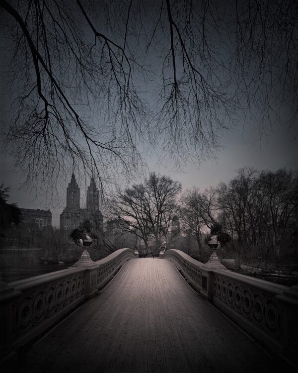 A bridge with trees and buildings in the background