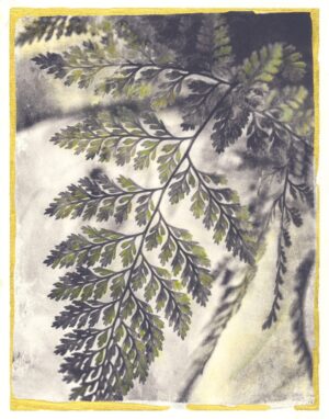 A painting of a fern leaf in the sun.
