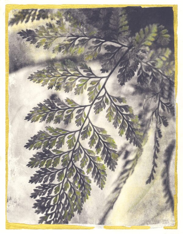 A painting of a fern leaf in the sun.