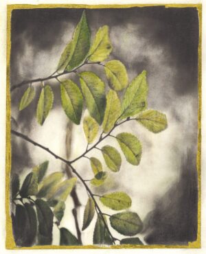 A painting of leaves on a tree branch