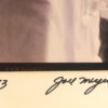 A close up of the signature on a picture