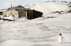 A small shack in the middle of snow covered ground.