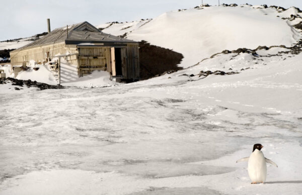A small shack in the middle of snow covered ground.