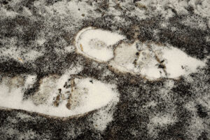 A close up of footprints in the snow