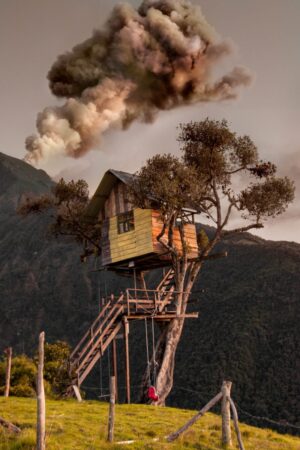 A tree house with smoke coming out of it.