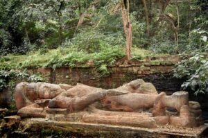 A group of animals laying on top of rocks.