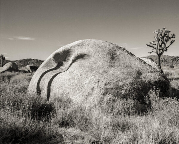 A large rock in the middle of a field.