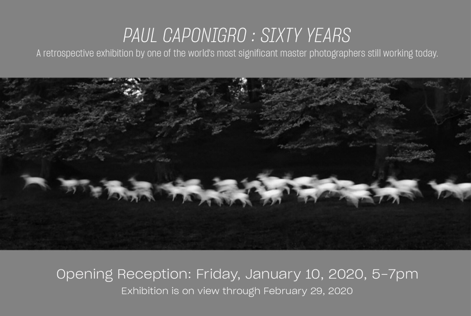 Exhibition poster for Paul Caponigro's retrospective.