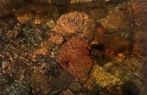 A close up of the surface of a rock