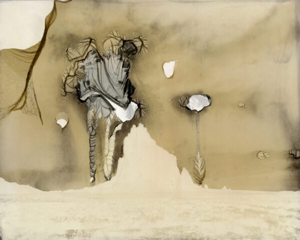 A wall with some holes in it and the picture is of a horse