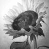 A black and white photo of a sunflower.