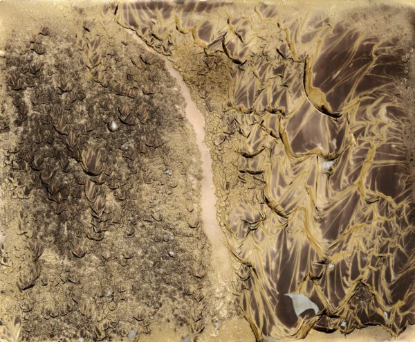 A close up of dirt and grass