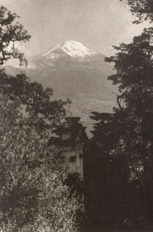 A black and white photo of trees, mountains and a building.