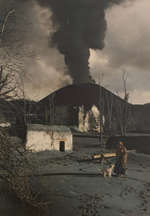 A woman and her dog in front of a large fire.