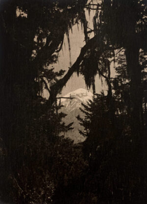 A view of the mountains through trees.