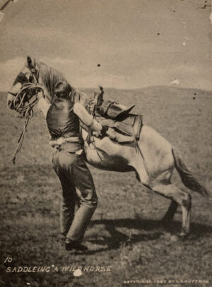 A man riding on the back of a horse.
