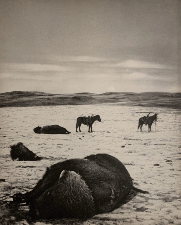 A group of horses standing in the middle of an open field.