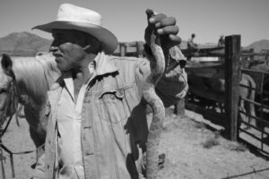 A man holding up a snake in his hand.
