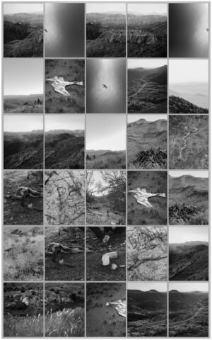 A series of photographs showing the landscape and sky.