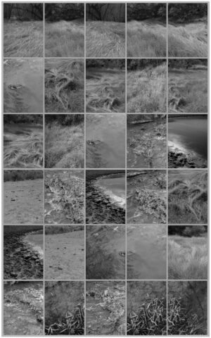 A black and white photo of waves crashing on the beach.