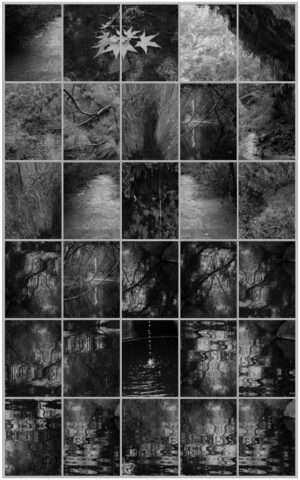 A series of photographs showing the various stages of water fall.