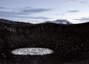 A black and white photo of a puddle in the middle of a field.