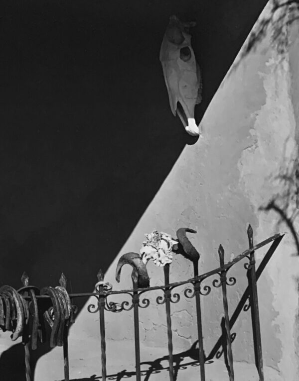 A black and white photo of a bird flying over a fence.