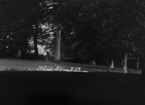 A black and white photo of trees, grass and people.