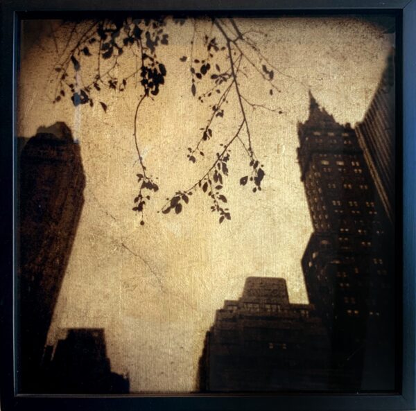A picture of the sky and buildings in the background.