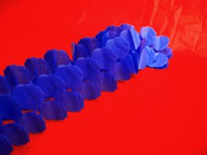 A red and blue background with some flowers