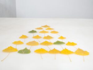 A table with many leaves on it