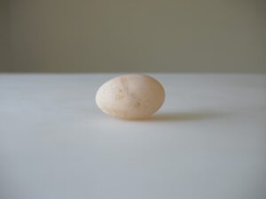 A single egg sitting on top of a table.