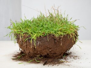 A bowl of dirt with grass growing on top.