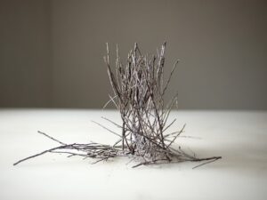 A bunch of branches on top of a table.