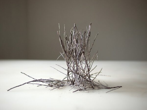 A bunch of branches on top of a table.