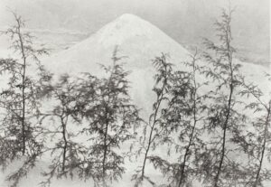 A black and white photo of trees in front of a mountain.