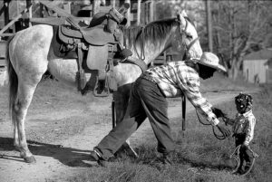 A man is bending over to pick up his horse.
