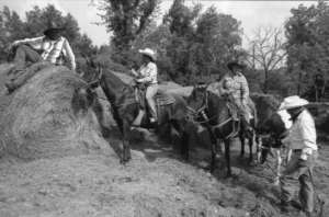 A group of men riding horses on top of a hill.