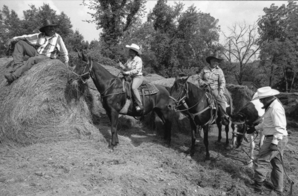 A group of men riding horses on top of a hill.