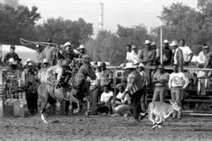 A man riding on the back of a horse while people watch.