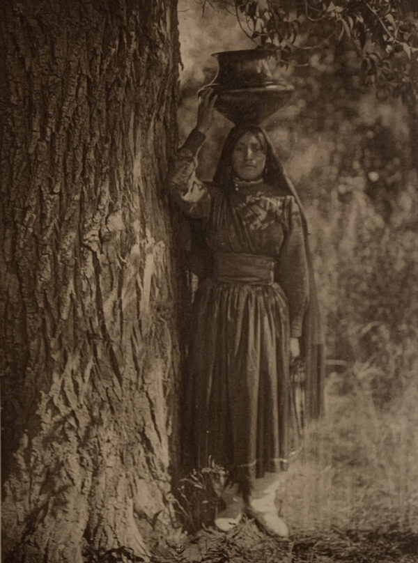 A woman in a dress holding on to a tree