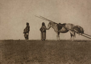A man and woman standing in the grass with a horse.