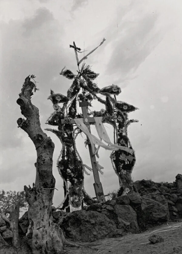 A black and white photo of a cross on top of a tree.