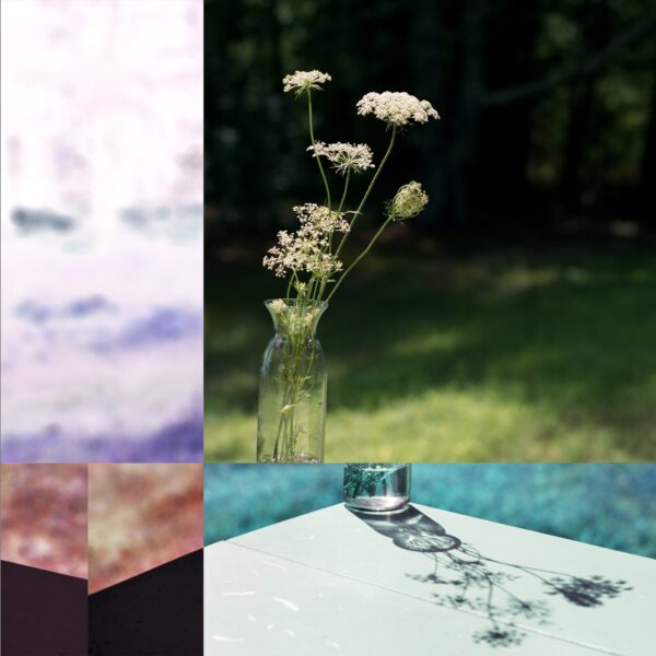 A picture of some flowers in a vase.