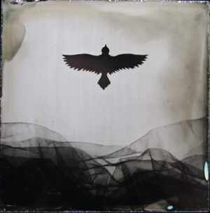 A bird flying over some mountains with smoke coming from it.