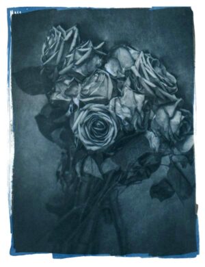 A black and white photo of some roses