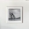 A black and white photo of a tree in the desert.