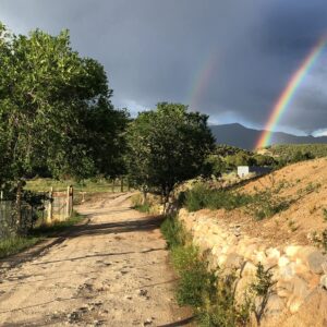 A rainbow is seen in the sky over a dirt road.