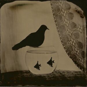 A bird sitting on top of a fish bowl.